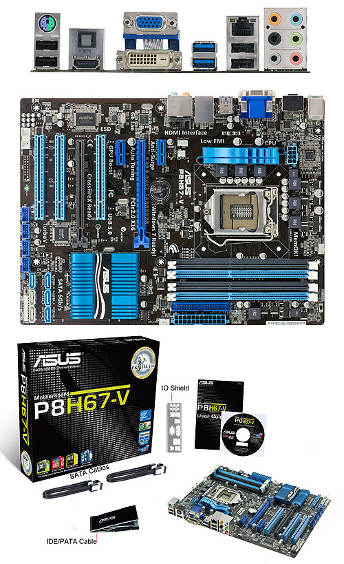 Buy ASUS P8H67-V Motherboard [P8H67-V] | PC Case Gear Australia