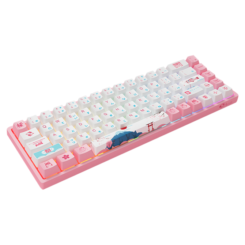 Buy Akko 3068B World Tour Tokyo R2 Hot-Swap Wireless CS Jelly Pink ...