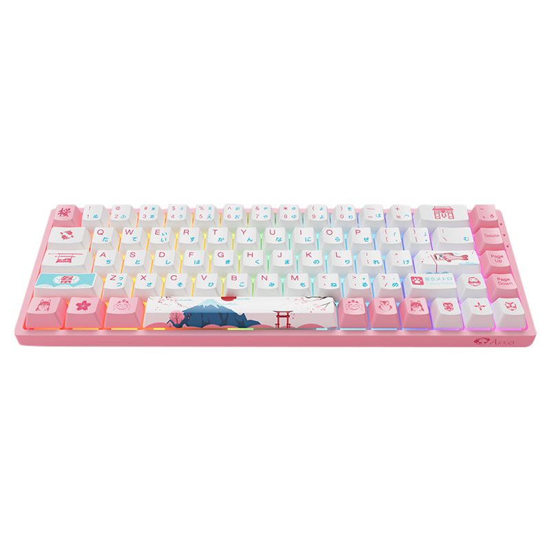 Buy Akko 3068B World Tour Tokyo R2 Hot-Swap Wireless CS Jelly Blue ...