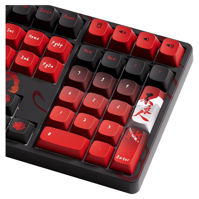 Mechanical Keyboards | 65%, 75%, TKL | Akko Official Global Site