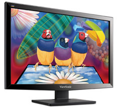 Buy Viewsonic VA1936A 18.5in Widescreen LED Monitor [VA1936A-LED] | PC ...